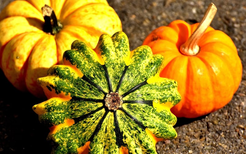 Fall Crops